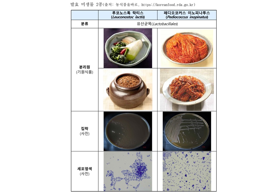 식약처-농진청, K-유산균 식품원료 등재 추진
