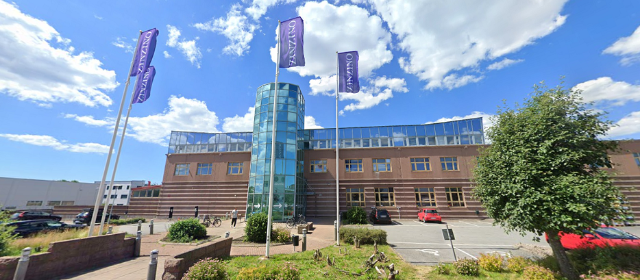 진지노, 10월 매출 ‘3,400만 달러’ 65% 증가