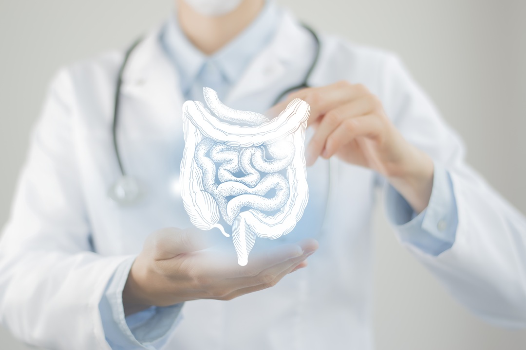 마이크로바이옴 혁신, ‘단쇄지방산’이 열어가는 다음 시장