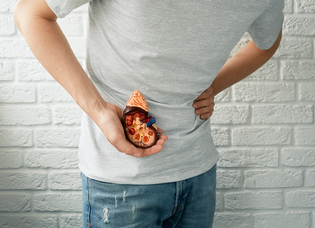 증상 없는 ‘침묵의 질환’, 만성 콩팥병