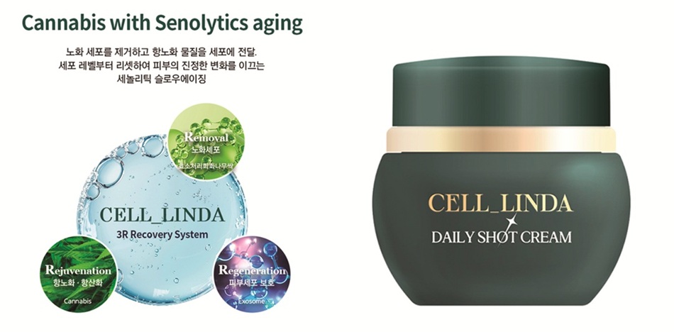 건강한 아름다움 ‘셀린다’