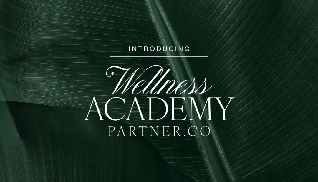 파트너코, ‘웰니스 아카데미’ 출범