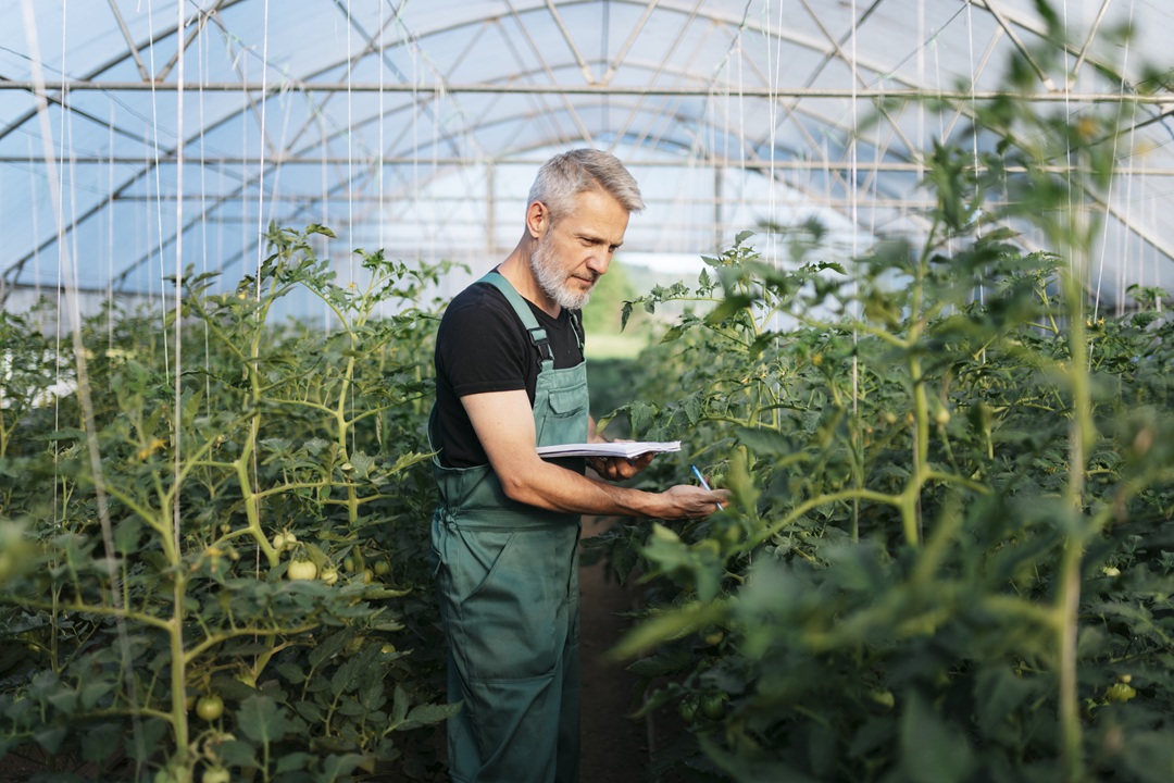 자동화, 첨단 기술 도입으로 미래 농업 방향 제시