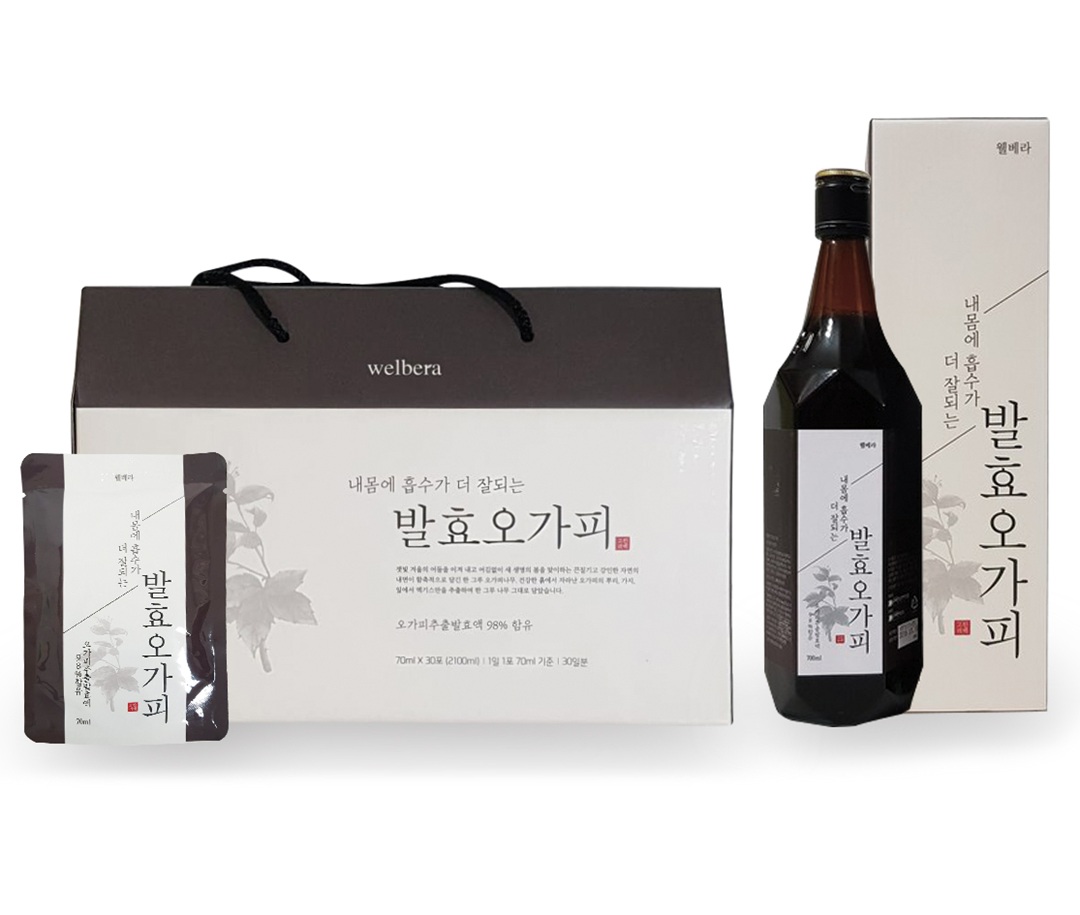 아름다운 푸른 꿈의 뿌리, 발효오가피III