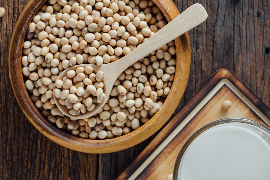 청빈함을 의미했던 콩의 놀라운 효능