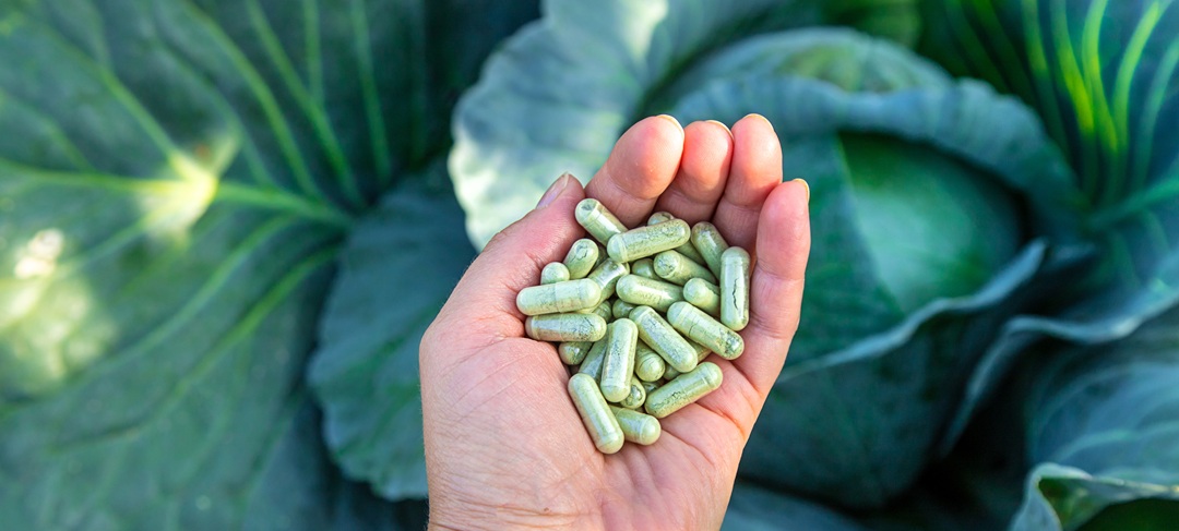 유통 공룡 공세에 맞서는 해법, ‘프리미엄 네트워크 마케팅’