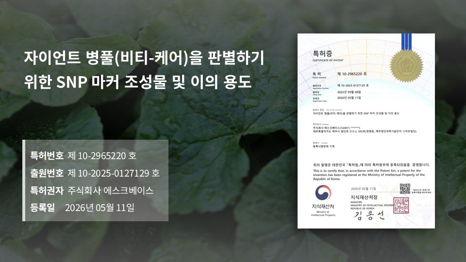 ‘리만 자이언트 병풀’, 유전자 판별 기술 특허 등록