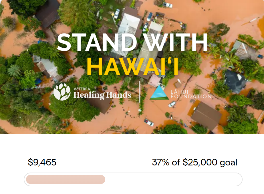 도테라, 하와이 홍수 피해 지원 캠페인 전개