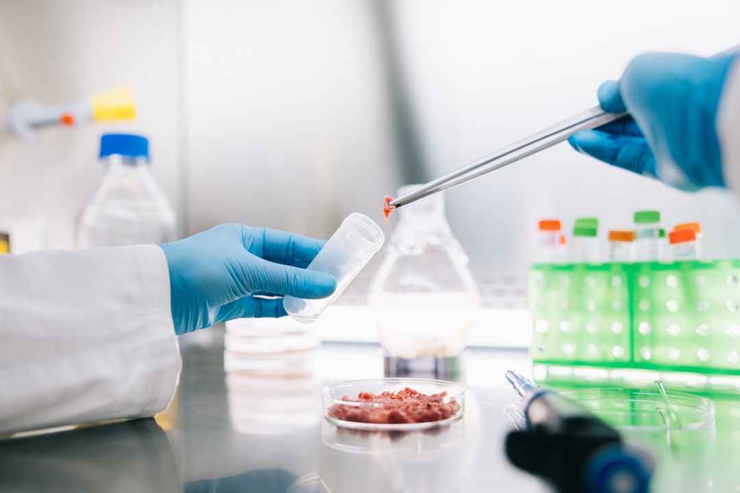 세포배양식품, 식품산업 판도를 바꾸는 이유